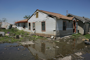 water damage Panthersville